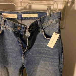 Anthropologie Pilcro & the Letterpress frayed Tilde Jeans